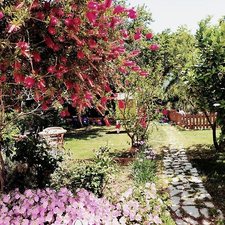 Plakias River Apartment מראה חיצוני תמונה