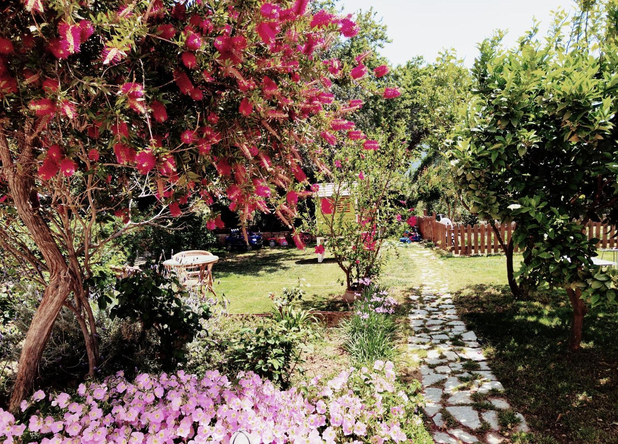 Plakias River Apartment מראה חיצוני תמונה